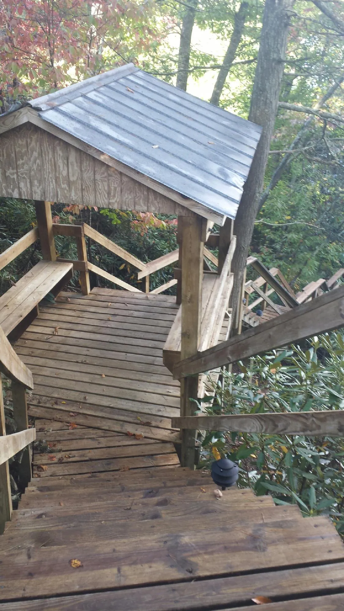 Metal roofed shelter over wooden steps on a wooded walkway — Skylight Repair & Installation work by our crew in Garibaldi