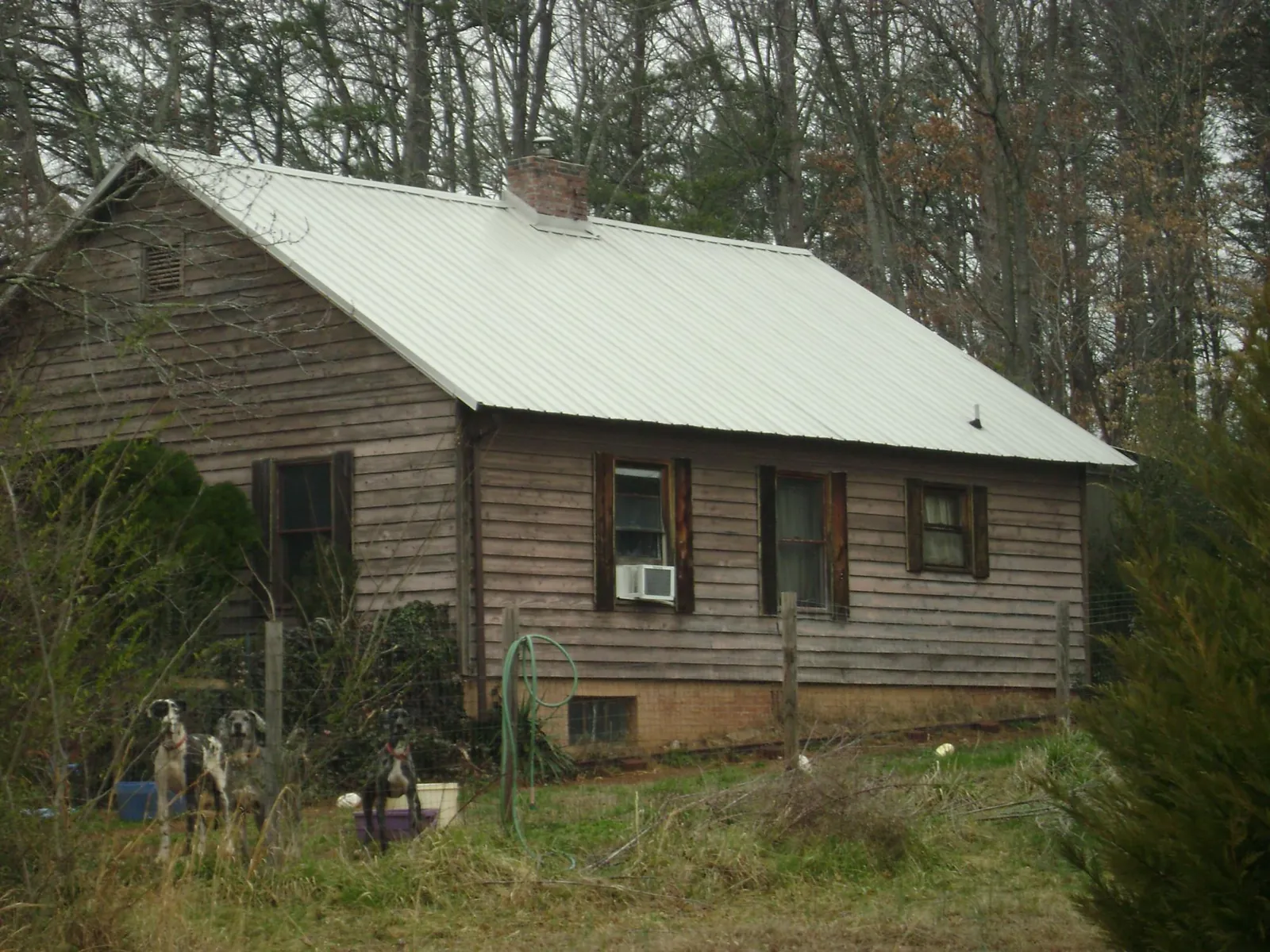 White metal roof on an old wood sided farmhouse, from a Metal Roof Installation job in Garibaldi